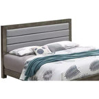 Upholstered Full Panel Bed