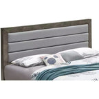 Upholstered Full Panel Bed