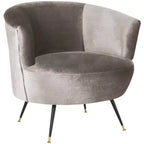 Modern Upholstered Accent Chair for Living Room or Bedroom